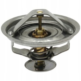 Fendt g199204010020 termostatas