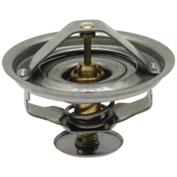 Fendt g199204010020 termostatas