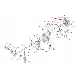 P5p41102121 GTV dangtis