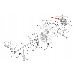 P5p41102121 GTV dangtis