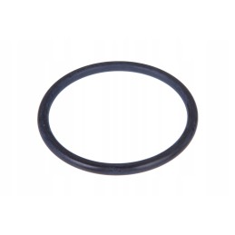 3903939m1 kampinės pavaros O žiedas 6 x 55 4