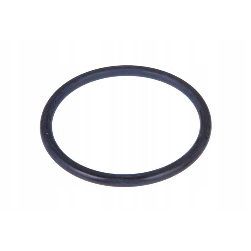 3903939m1 kampinės pavaros O žiedas 6 x 55 4