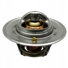 Termostatas 84 c 70mm 74715179 granitas
