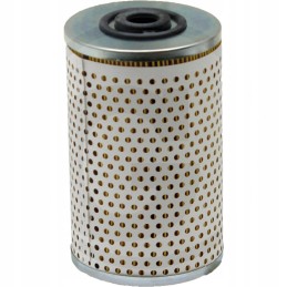 Eicher Fleetguard kuro filtras 81125030012