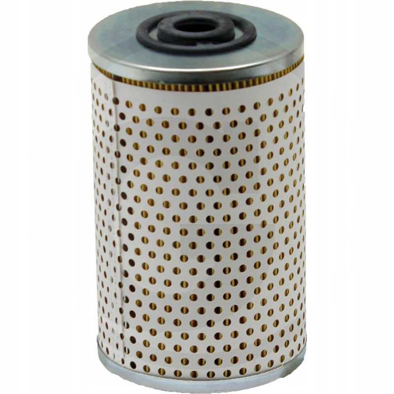 Eicher Fleetguard kuro filtras 81125030012