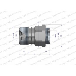 Prisukama greitoji hidraulinė jungtis 3 4 Warynski