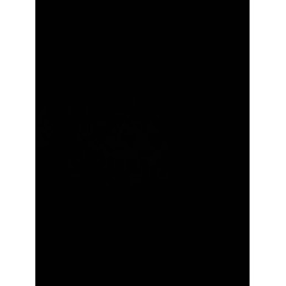 Berėmio valytuvo šluostė 525mm