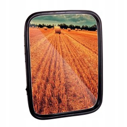 Veidrodis lazn 12 00 q15 217 x 159 1001