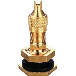 Vožtuvas bekamerėms padangoms trj670 03