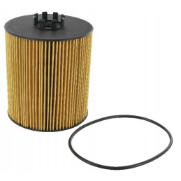 Alyvos filtro įdėklas john deere re509672 originalus