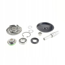 Vandens siurblio remonto komplektas mf 4224675m91 originalus