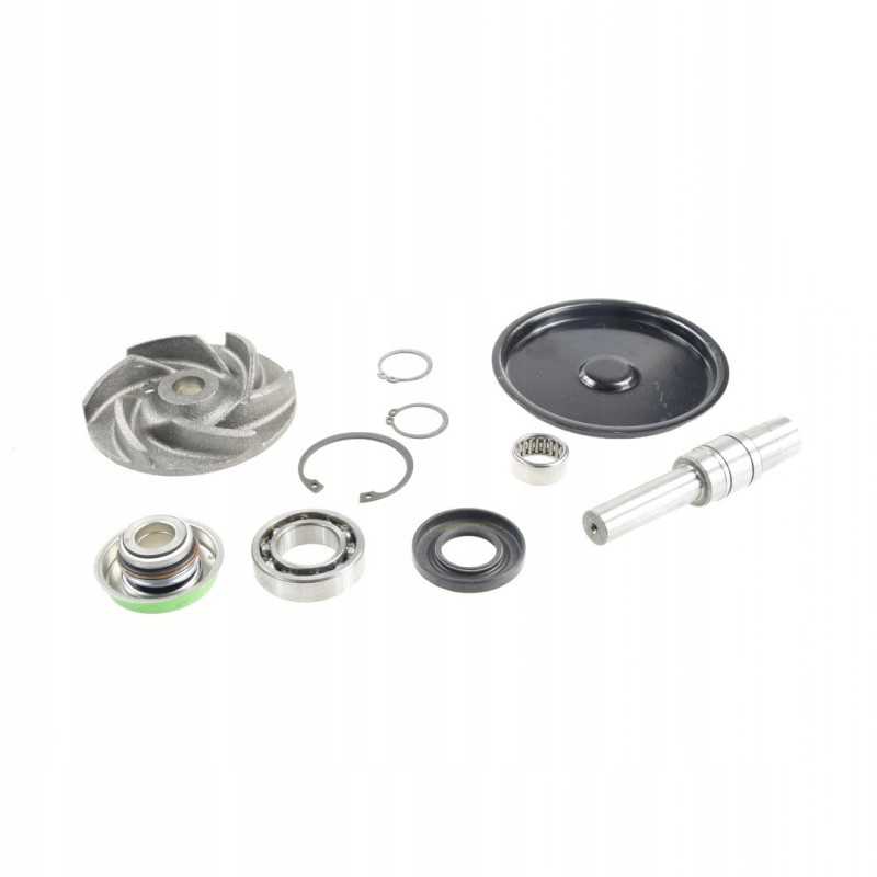 Vandens siurblio remonto komplektas mf 4224675m91 originalus