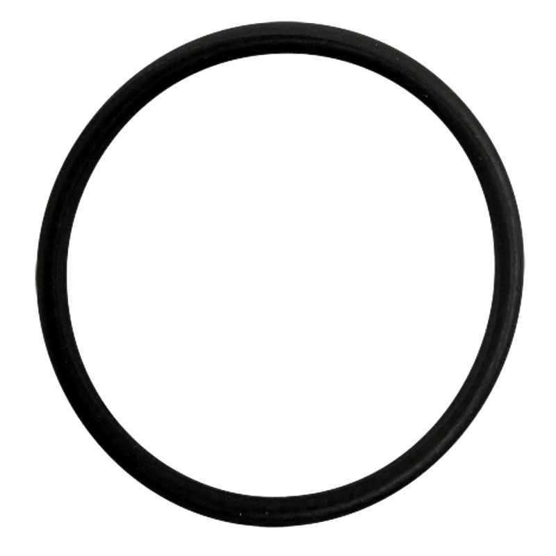 Sandarinimo žiedas 3131661r1 korpusas ih