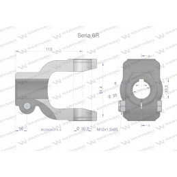 Šakė 8 sr anga 30mm 30 2x91 4 serija 6r Warynski