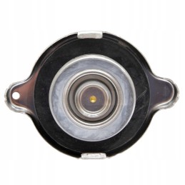Radiatoriaus užpildo dangtelis 57mm 25mm granitas