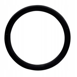 Oring massey ferguson 70815380 granitas