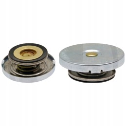 Radiatoriaus užpildymo dangtelis ford massey ferguson 3638322