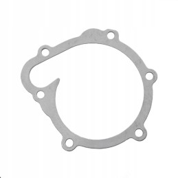 Fendt f119200610040 vandens siurblio tarpiklis originalus