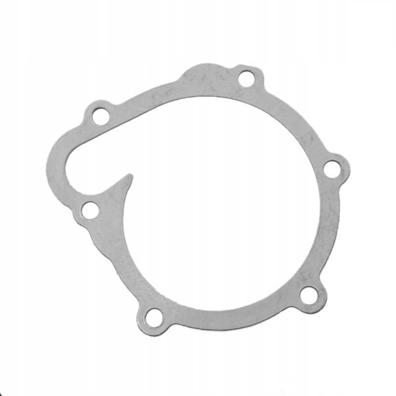 Fendt f119200610040 vandens siurblio tarpiklis originalus