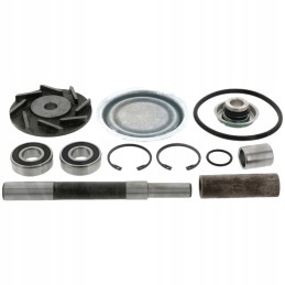 Steyr remonto komplektas 131100060700