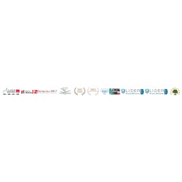 Vag 2 0 tdi siurblio įpurškimo laidų rinkinys drm0757