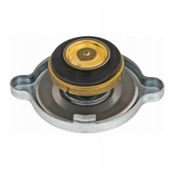 Radiatoriaus dangtelis rt0853058000n