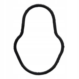 Oring case new Holland 2830156