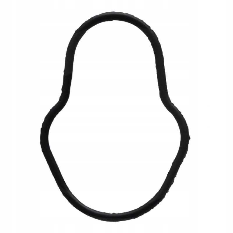 Oring case new Holland 2830156