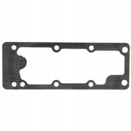 Massey Ferguson vandens siurblio tarpiklis 4223965m1