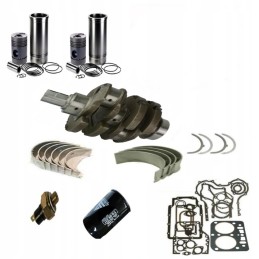 Remonto komplektas visam C 330 varikliui, C330 priedai