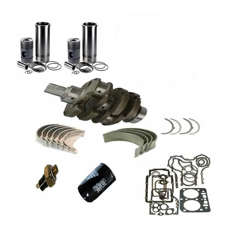 Remonto komplektas visam C 330 varikliui, C330 priedai