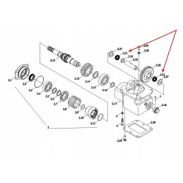 Gbt20056 k25x31x20 adatinis guolis