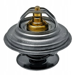 Termostatas fendt farmer f119200050040 fi 67mm