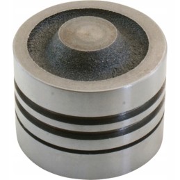 Kėlimo stūmoklis 65767118008 agtech