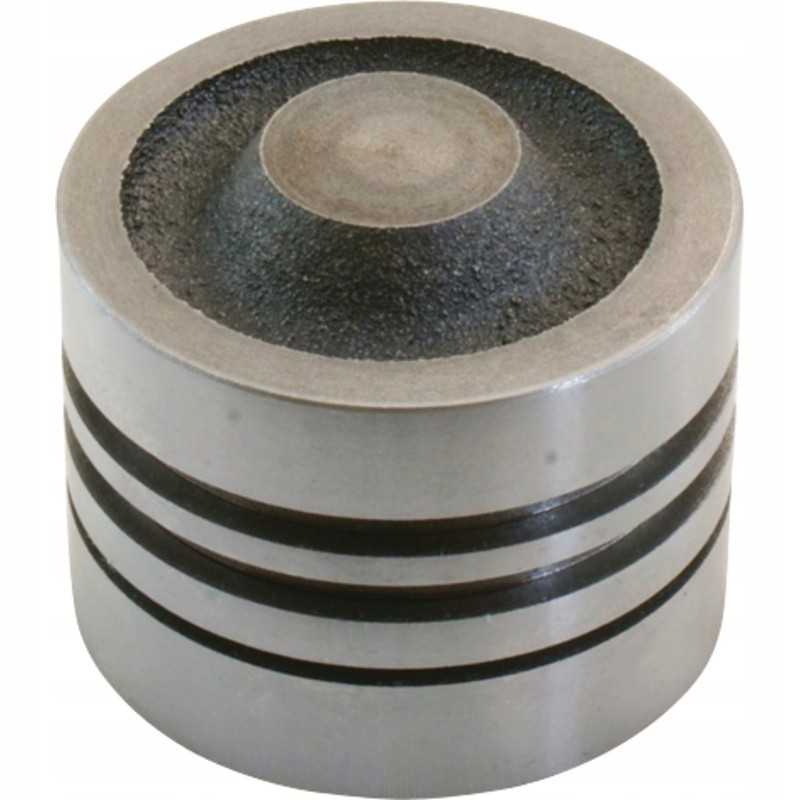 Kėlimo stūmoklis 65767118008 agtech