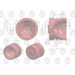 Kėlimo cilindro stūmoklis 67118008 zetor originalus