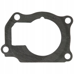 Vandens siurblio tarpiklio korpusas 703816r4