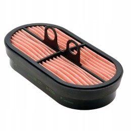 Donaldson išjungė p600975 oro filtrą