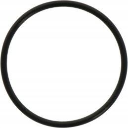 Diferencialo stūmoklio O žiedas 3019927x1