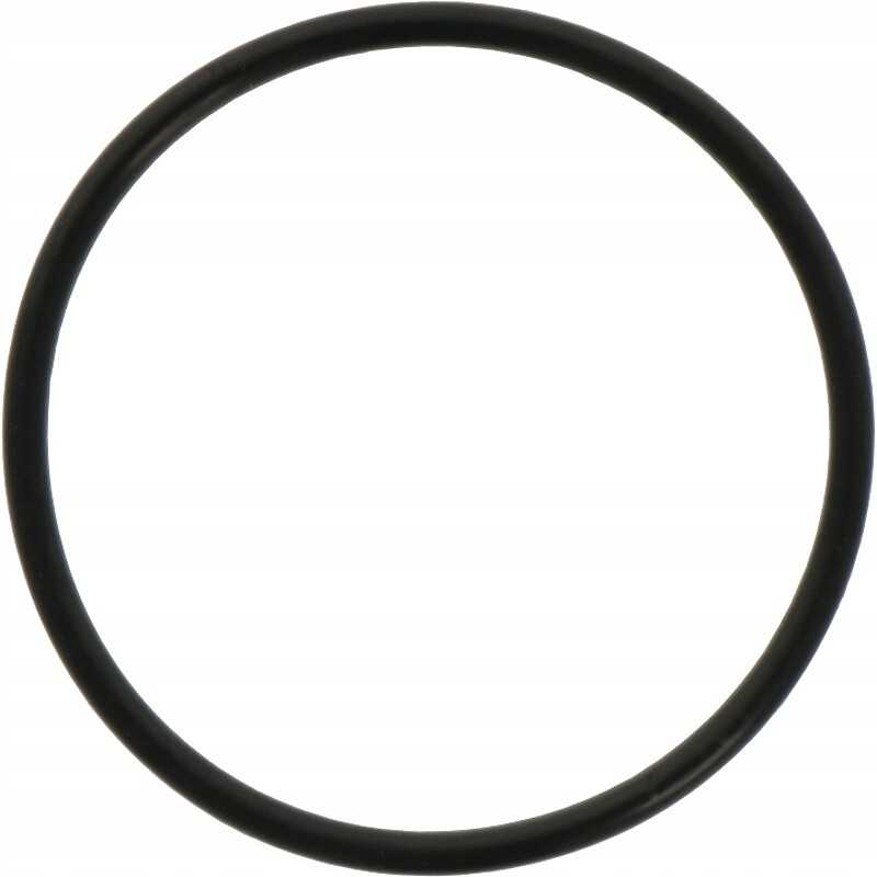 Diferencialo stūmoklio O žiedas 3019927x1