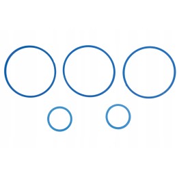 Mtz c 100 kėlimo cilindro remonto rinkinys