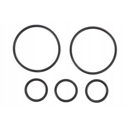 Mtz c 100 kėlimo cilindro remonto rinkinys