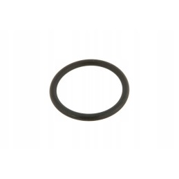 Vkh4961 galinės pavaros sandarinimo žiedas