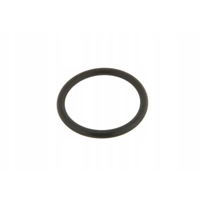 Vkh4961 galinės pavaros sandarinimo žiedas