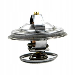 Termostatas 87 c fendt 67mm 74706065 granitas