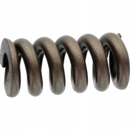 Walterscheid slėgio spyruoklė