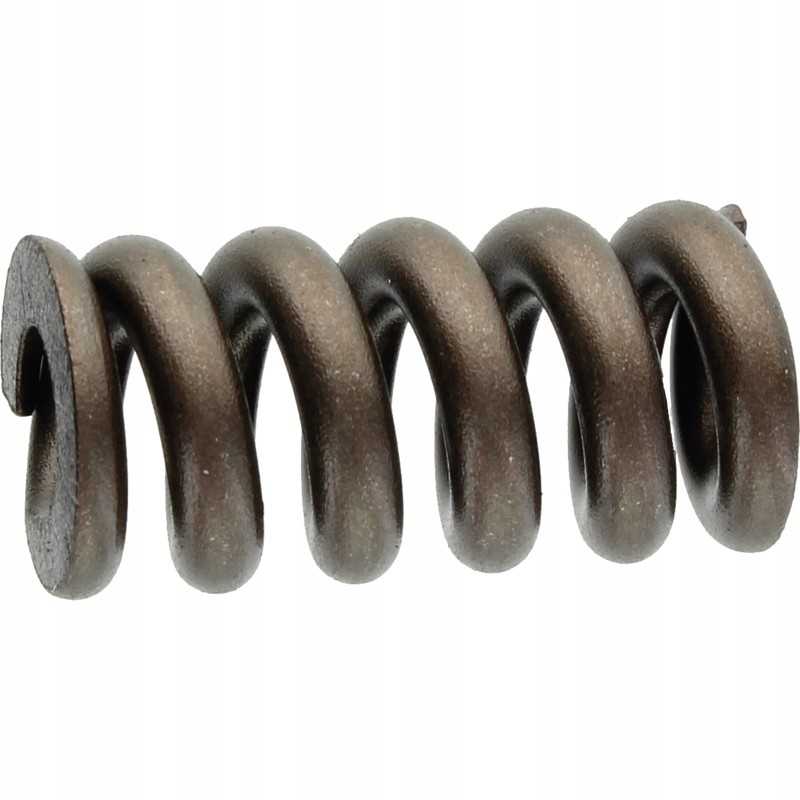 Walterscheid slėgio spyruoklė