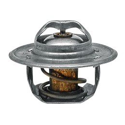 Ford termostatas 83916916