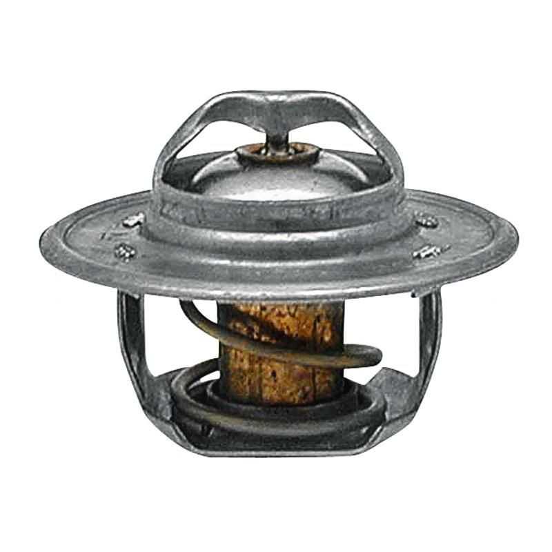 Ford termostatas 83916916