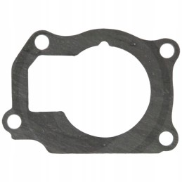 Korpuso tarpiklis 703816r4